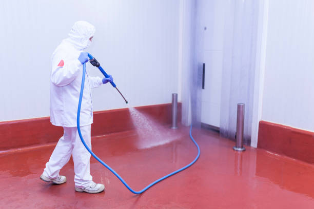 Best Pool Deck Cleaning  in Camilla, GA