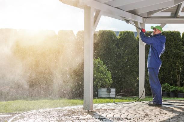 Best Patio and Deck Pressure Washing  in Camilla, GA
